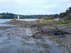 Canoe camping on Carrick Roads