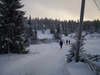 Sjusjoen